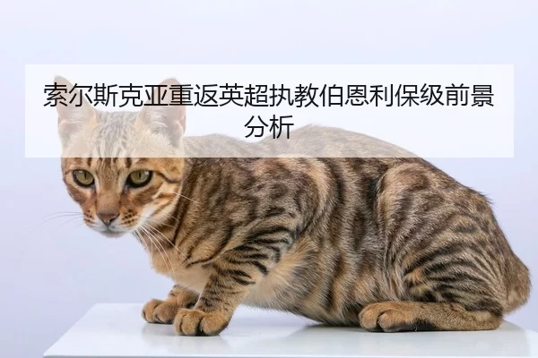 suo-er-si-ke-ya-chong-fan-ying-chao-zhi-jiao-bo-en-li-bao-ji-qian-jing-fen-xi-2-295.jpg